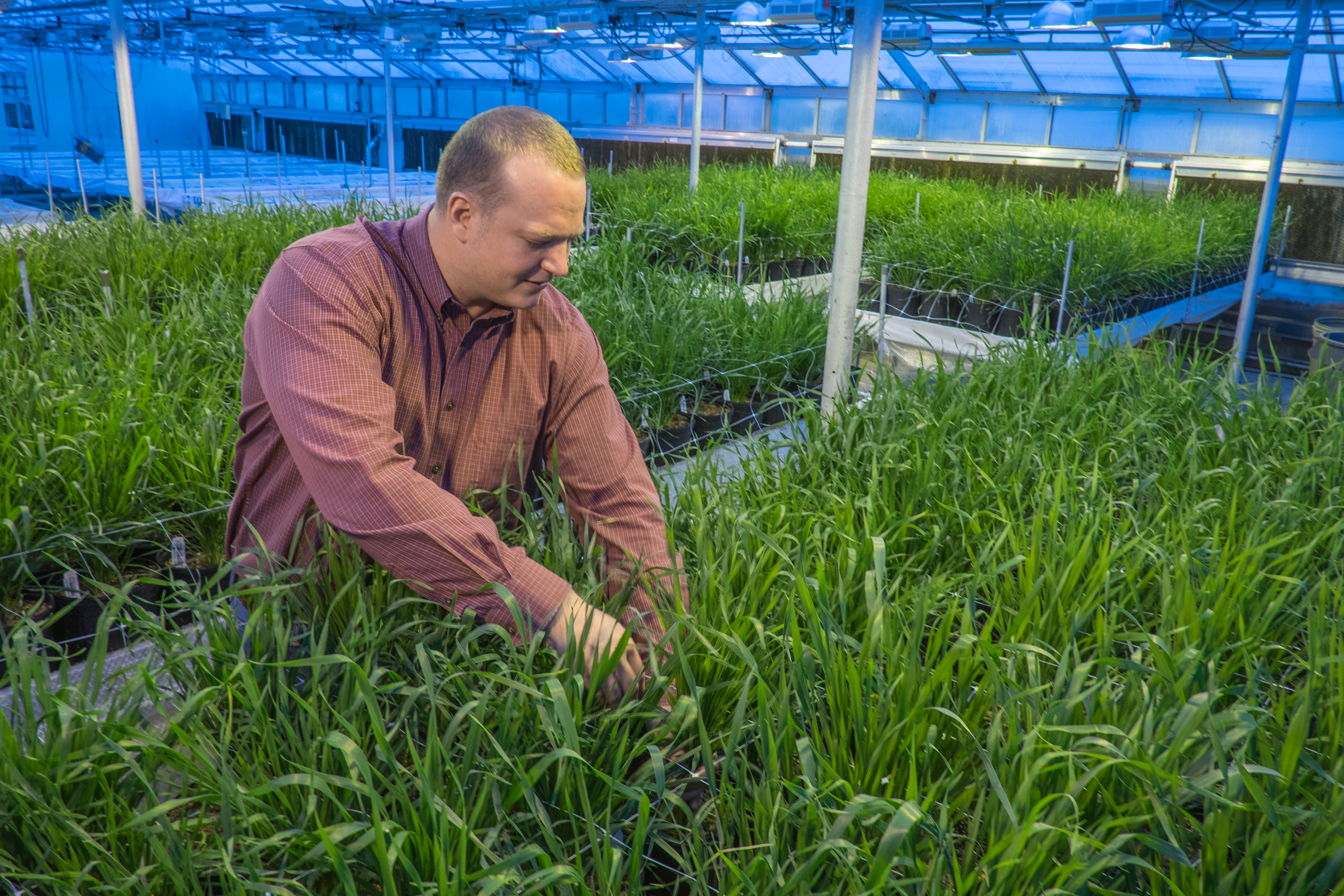 Eric Olson in greenhouse